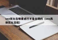 seo优化在哪里进行才是合理的（seo具体优化流程）