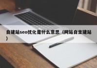 自建站seo优化是什么意思（网站自主建站）